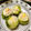 tetricot's cooksnap of when they made 北斗さんのレタスで包む焼売アレンジ.