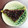 みやしっぽ's cooksnap of when they made ♪おうち和菓子♪水無月.