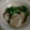 りるみな's cooksnap of when they made 貝柱とほうれん草のからし酢みそ合え.