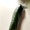 azbjbn's cooksnap of when they made 【龍愛】きゅうりの保存方法＋選び方.