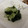 ピロエ's cooksnap of when they made 5分で！簡単わかめときゅうりの酢の物.