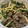 megomo's cooksnap of when they made 簡単☆牛切り落とし肉で青椒肉絲☆.