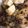 クック6IIYZY☆'s cooksnap of when they made 牛肩ロースとオニオンの甘辛炒め.