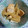 カバゴン's cooksnap of when they made はす芋と厚揚げの煮物.