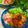 かおりかざり's cooksnap of when they made 新玉ねぎと彩り野菜のごまみそサラダ.