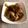 nao723's cooksnap of when they made ショートリブで作る とろける牛肉の角煮.