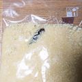 つとむママ's cooksnap of when they made 長期保存！冷凍可！時短にんにくオイル漬け.