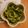 あさひﾊﾟﾊﾟ's cooksnap of when they made 簡単副菜♪キュウリの中華胡麻和え.