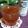 ayureo's cooksnap of when they made フル～ティー☆サイダー.