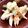 yoyoよーよー's cooksnap of when they made ちくわときゅうりのサラダ.