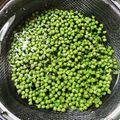チャナチカ's cooksnap of when they made 茹で時間40秒！山椒の実のあく抜き下拵え.