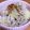 clover2's cooksnap of when they made 鍋に入れて煮るだけ☆牛丼屋さんの豚丼.