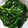 saalalan's cooksnap of when they made にらとわかめのナムル【作り置き】.