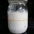 クック0JPUP6☆'s cooksnap of when they made レモン酵母(元種）.