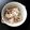 テン丸's cooksnap of when they made 大量消費！新玉ねぎのサラダ.