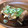 すかちゃん♡'s cooksnap of when they made 簡単ウマウマ！えのきの豚肉巻き.