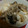 あゆたっくん's cooksnap of when they made 【農家のレシピ】豆腐ときのこのみぞれ煮.