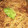 りーとぽん's cooksnap of when they made ☆トレロ☆もちもち麺☆昔風の焼きそば☆.