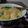 ダイナマイト漆黒's cooksnap of when they made 鶏むね肉で♪幸せとろとろ親子丼☆.