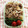 さくっとかな's cooksnap of when they made 10分で完成！豚たまのネギ塩レモン炒め.