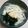クックGB6431☆'s cooksnap of when they made 新玉ねぎと生わかめのサラダ.