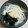 クックGB6431☆'s cooksnap of when they made 新玉ねぎと生わかめのサラダ.