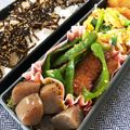 ちづりんも's cooksnap of when they made こんにゃくのピリ辛炒め.