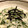 Takayoshii's cooksnap of when they made オカノリと長芋のとろろごはん.