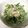 クックFSQU9B☆'s cooksnap of when they made 混ぜるだけ！みぶなのツナ和え.