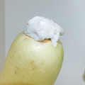 ＊きしろ＊'s cooksnap of when they made 大根一本使い切る 保存方法.