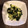 クックXY374J☆'s cooksnap of when they made きゅうりとわかめの酢の物.