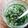 kaokaofood's cooksnap of when they made 実山椒から作る椒麻ソース（じゃおまー）.