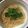 ごはんのじかん's cooksnap of when they made シーチキンとしょうがの春雨蒸し.