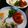 Hirarinn☆'s cooksnap of when they made お弁当やおつまみに☆ピーマンのソテー☆.