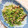 ららららこちゃん's cooksnap of when they made 簡単★副菜【豆苗としめじの胡麻和え】.