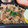 プニのふ04's cooksnap of when they made ♡我が家の炊き込みご飯♡.