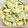 クックQMIDCW☆'s cooksnap of when they made えっうま！さつまいものポテトサラダ.