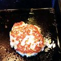 どなべぷりん's cooksnap of when they made 鶏ひき肉と豆腐のつくね 生姜味噌味.
