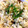 garden34's cooksnap of when they made 梅としらすと大葉とごまの和風炒飯♪.