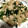 くみ0807's cooksnap of when they made 豚ともやしのスタミナ炒め丼 温泉卵のせ.