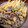 dimbula121's cooksnap of when they made 生きくらげと赤万願寺唐辛子の天ぷら.