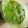 み1046sa's cooksnap of when they made 便秘に効く！皮ごとキウイスムージー.