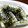 たくのスプーン's cooksnap of when they made 新わかめの和え衣.