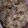 みそとせいろん's cooksnap of when they made きのこの炊き込みご飯.