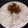 クックDMJXBY☆'s cooksnap of when they made しらすの佃煮.