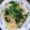 せつせつせつ's cooksnap of when they made ベーコンとほうれん草のオイルソースパスタ.