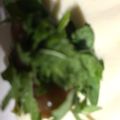 ma___111's cooksnap of when they made さっぱり☆梅シソ冷や奴.