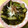 クックFBFGJ6☆'s cooksnap of when they made 茄子とピーマンの煮付け.