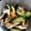 かぴーな's cooksnap of when they made ちくわときゅうり.