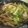 ito326's cooksnap of when they made しらすと牛蒡、春キャベツのアヒージョ.